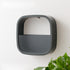 Flower Pot Wall-mounted Radish Copper Money Grass Wall-mounted